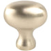 Berenson 9137-10CZ-P Transitional Advantage Three Champagne Oval Knob - KnobDepot