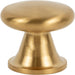 Atlas Homewares A969-MG Stainless Burbank 1 1/8in (29mm) Length Mushroom Knob Matte Gold - KnobDepot