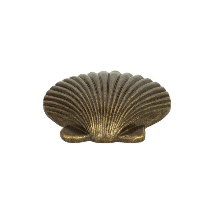 Atlas Homewares 143-BB Clamshell 2in Length Novelty Knob Burnished Bronze